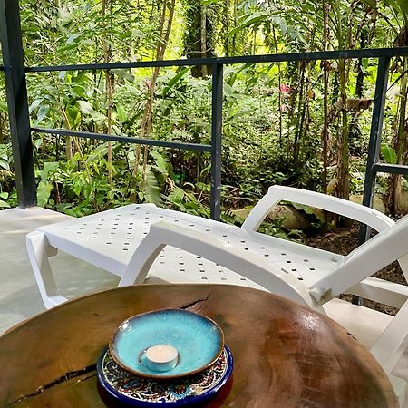 Casa Eden - Modern Peaceful Jungle Apartments Cocles Ngoại thất bức ảnh