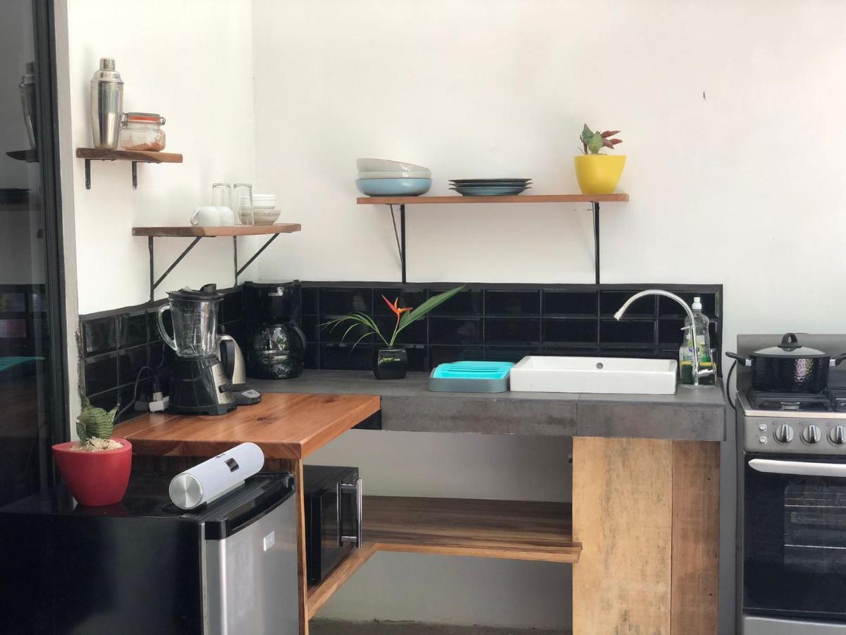 Casa Eden - Modern Peaceful Jungle Apartments Cocles Ngoại thất bức ảnh