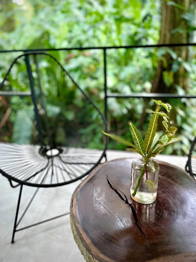 Casa Eden - Modern Peaceful Jungle Apartments Cocles Ngoại thất bức ảnh