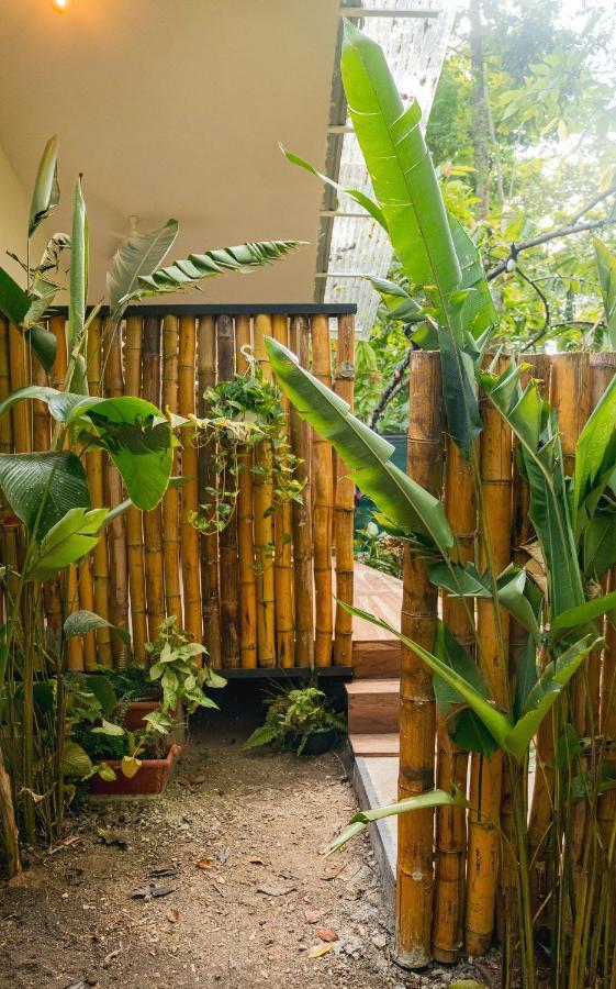 Casa Eden - Modern Peaceful Jungle Apartments Cocles Ngoại thất bức ảnh