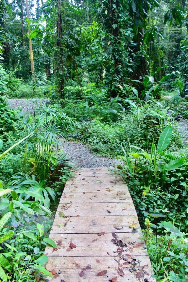 Casa Eden - Modern Peaceful Jungle Apartments Cocles Ngoại thất bức ảnh