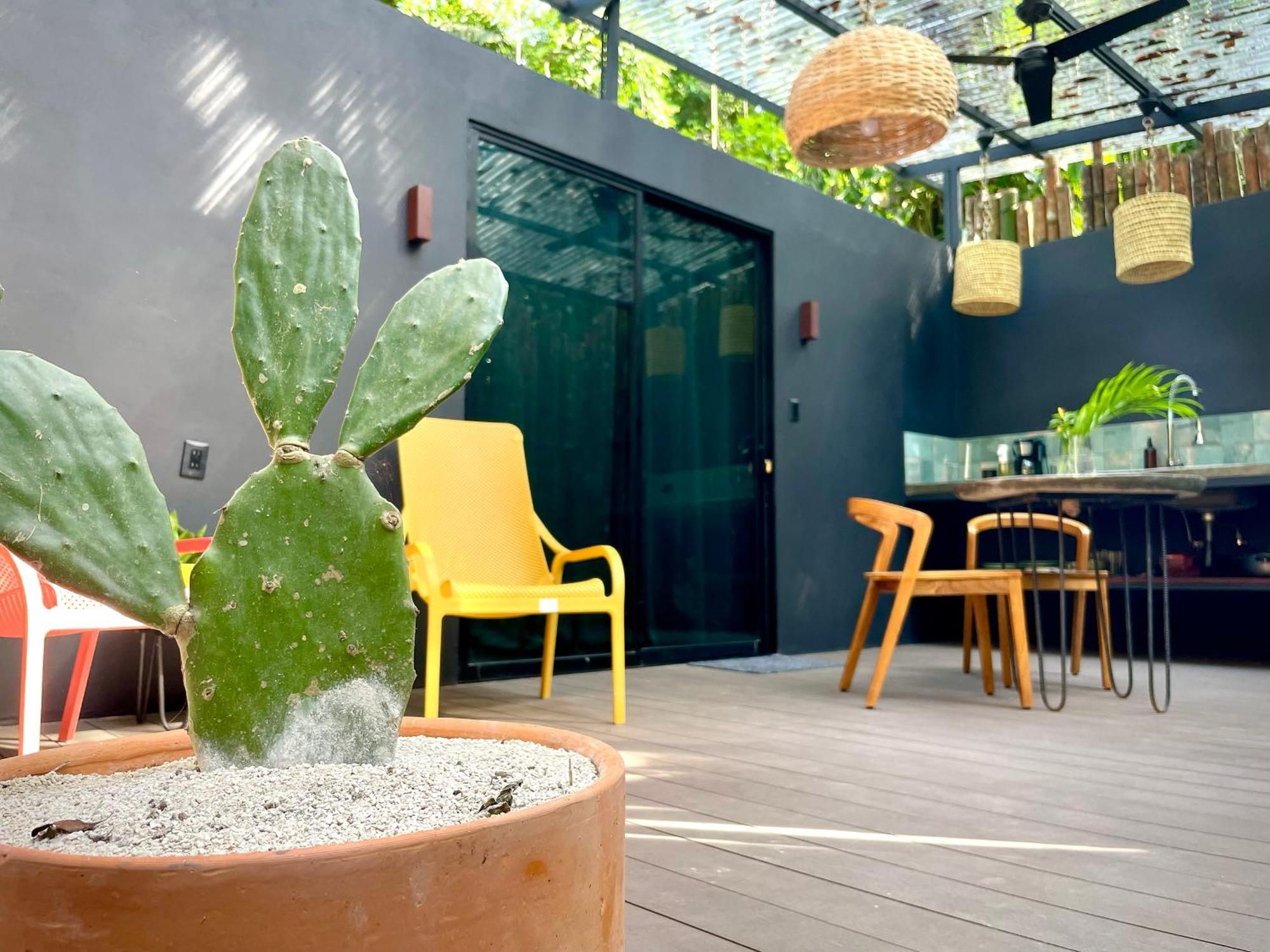 Casa Eden - Modern Peaceful Jungle Apartments Cocles Ngoại thất bức ảnh