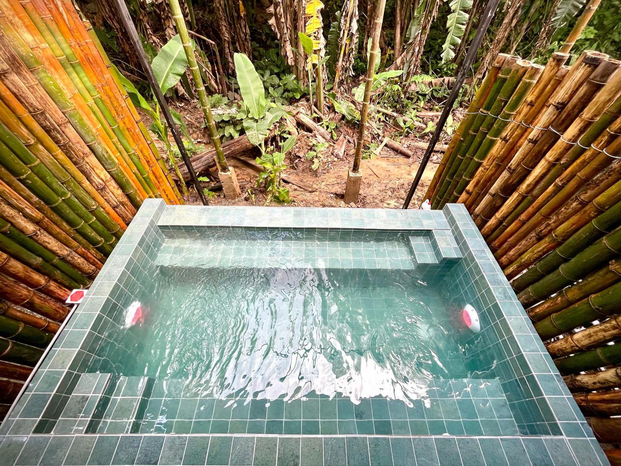 Casa Eden - Modern Peaceful Jungle Apartments Cocles Phòng bức ảnh
